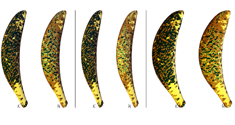 Affine-invariant curvature estimators for implicit surfaces