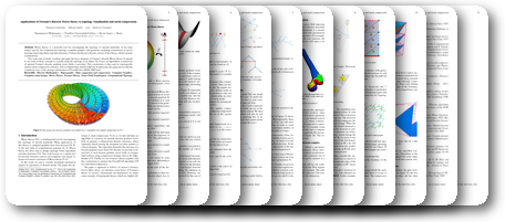 Applications of Forman s discrete morse theory to topology visualization and mesh compression