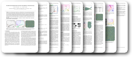 Streamline-based topological graph construction with application to self-animated images